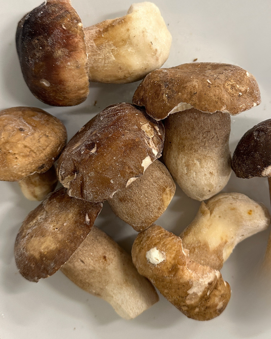 冷凍ポルチーニ / セップ ホール 1Kg EU Frozen Porcini Whole 1Kg EU