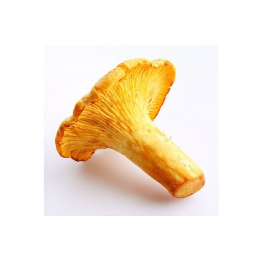 ジロール フレッシュ(箱)Girolle (Box)