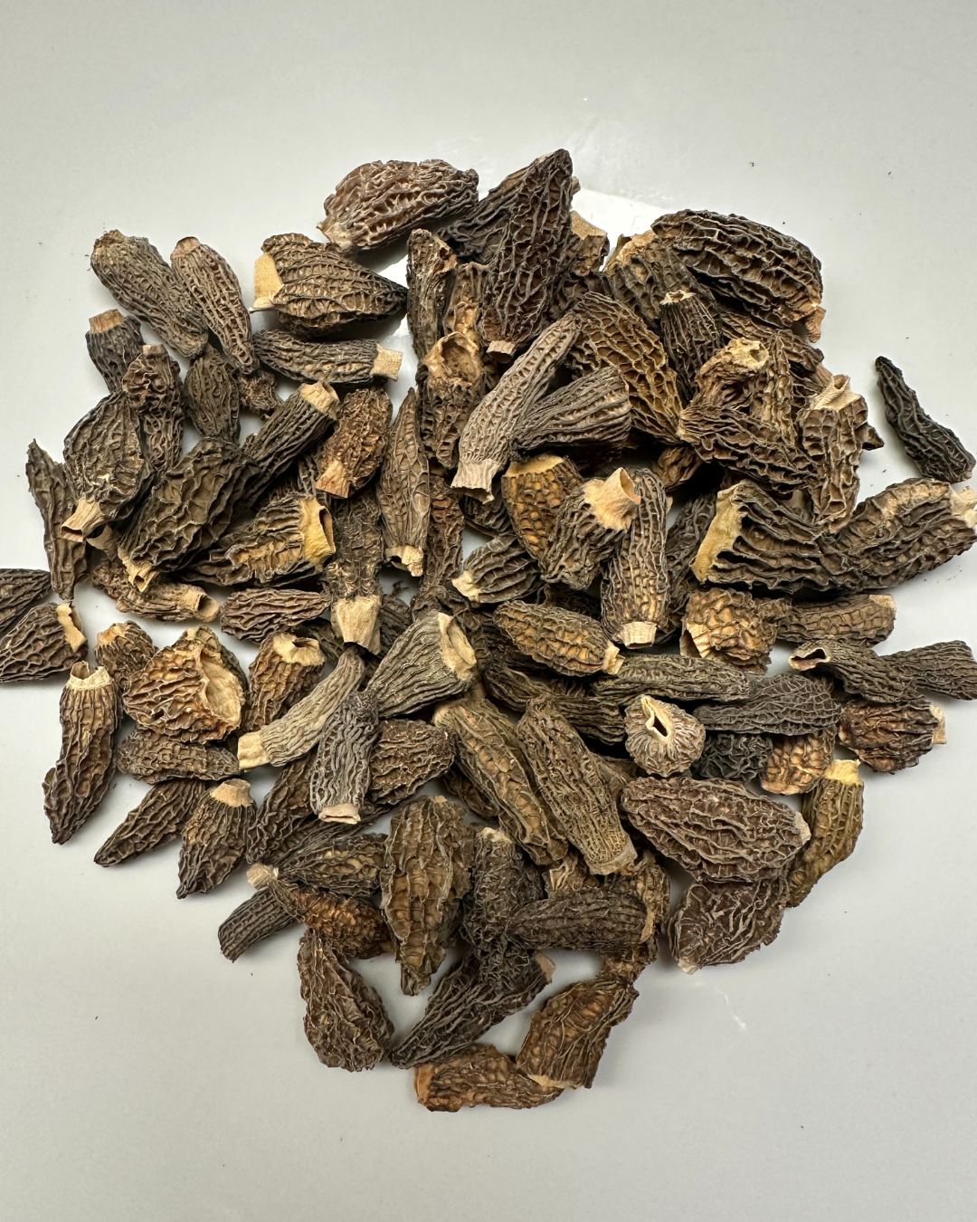乾燥モリーユミニ 250g(EUとCN以外)Dried Morel Mini 250g