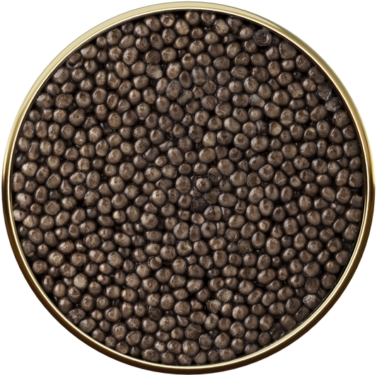 シベリアンキャビア 5スター 50g Siberian 5 star 50g