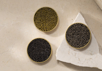 オシェトラキャビア 5スター 50g Oscietra 5 star 50g
