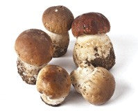 セップ　フレッシュ（箱）Cepes (Box)