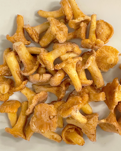 冷凍ジロール小粒ホール 1Kg EU Frozen Girolle Small 1Kg EU