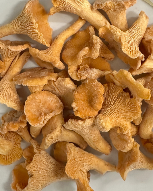 冷凍ジロールホール1Kg EU Frozen Girolle Whole 1Kg EU