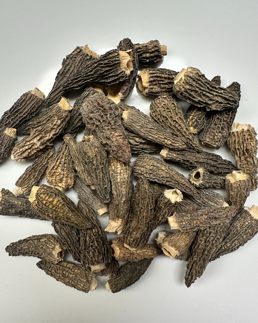 乾燥モリーユスペシャル250g CN Dried Morel Special 250g CN