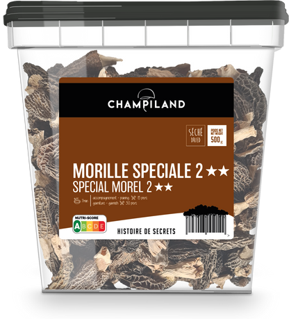 乾燥モリーユスペシャル 500g CN Dried Morel Special 500g CN