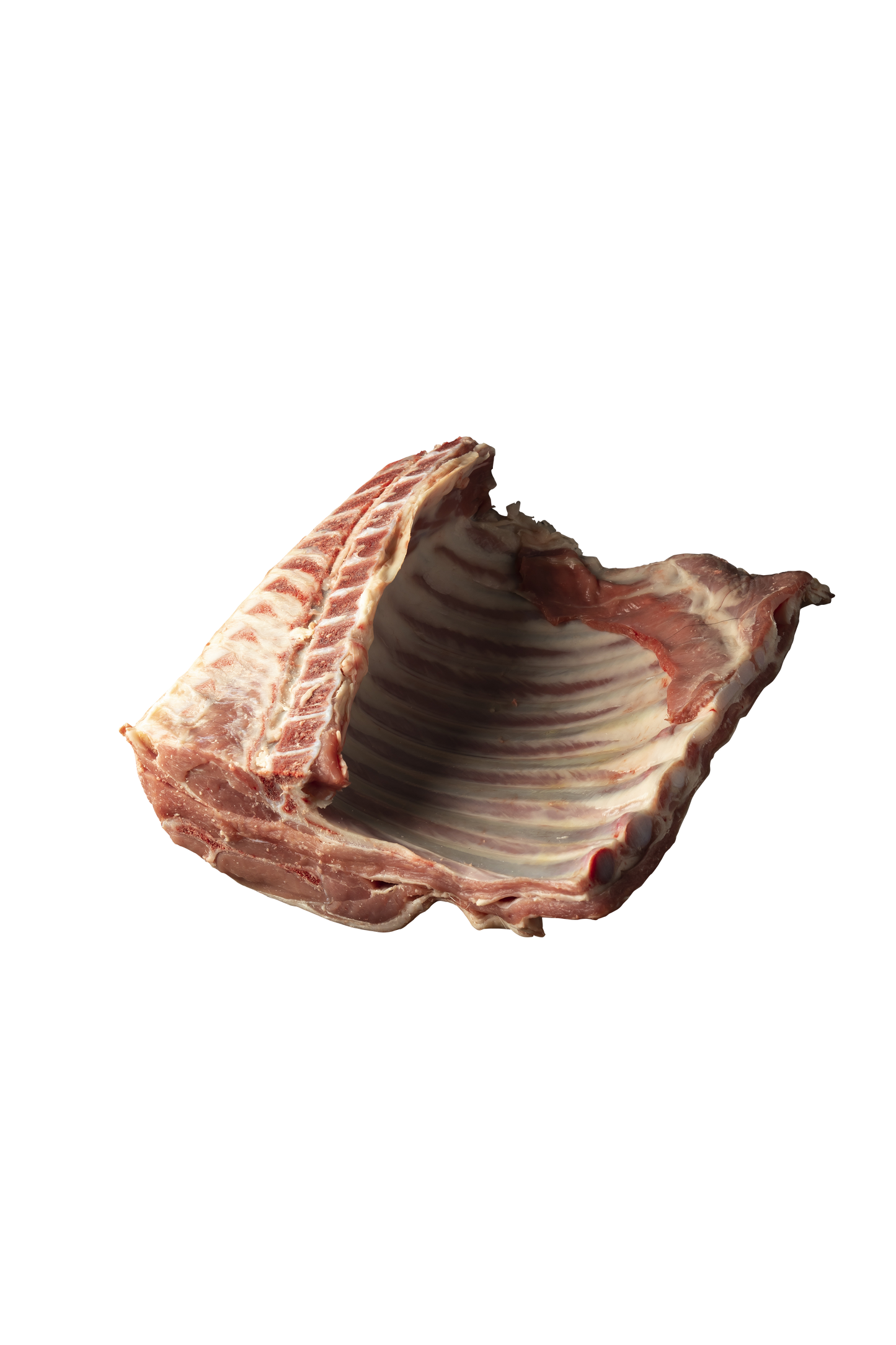 冷凍乳飲み仔羊ラック（10骨カット）0.5～0.8kg Frozen Milk Fed Lamb Rack (10 ribs)