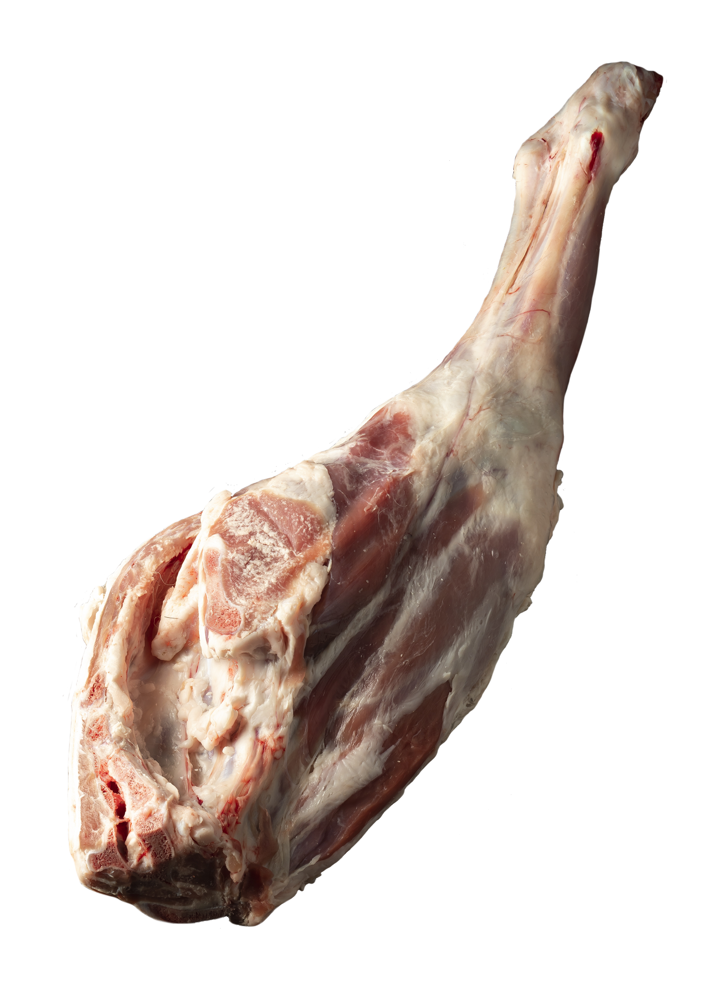 冷凍乳飲み仔羊レッグ（骨付き）Frozen Milk Fed Lamb Leg