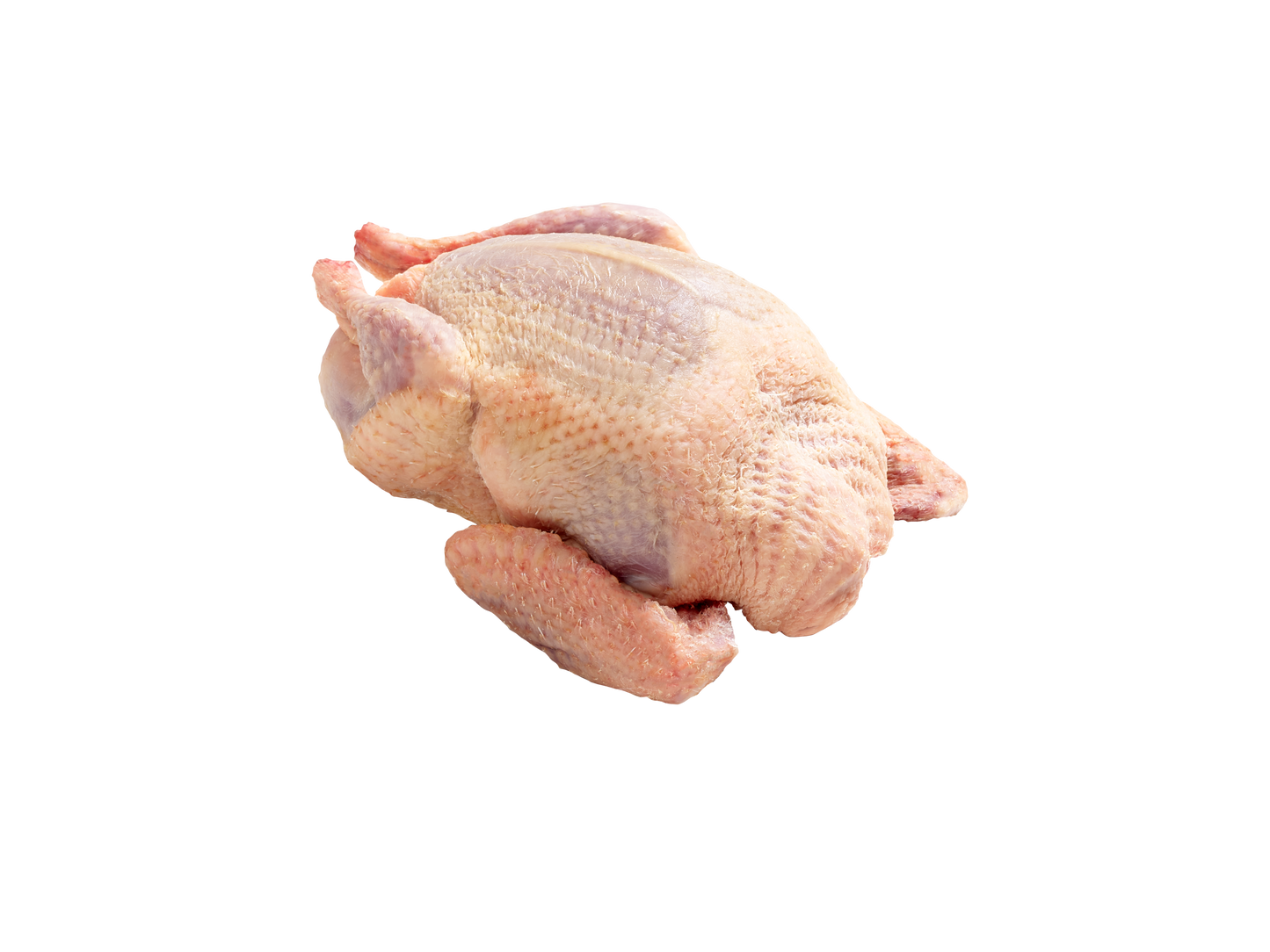 冷凍ひな鳩（肝臓・心臓付き、頭なし）Frozen Squab Pigeon 420 - 440g