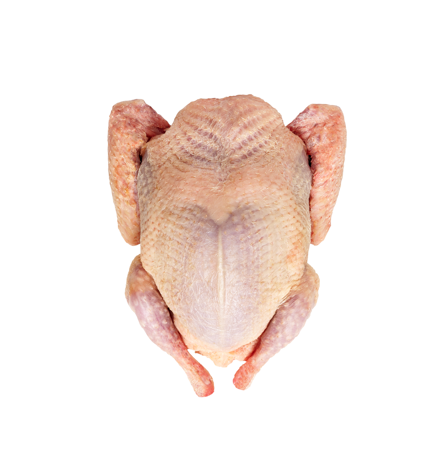冷凍ひな鳩（肝臓・心臓付き、頭なし）Frozen Squab Pigeon 420 - 440g