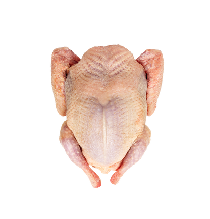 冷凍ひな鳩（肝臓・心臓付き、頭なし）Frozen Squab Pigeon 420 - 440g