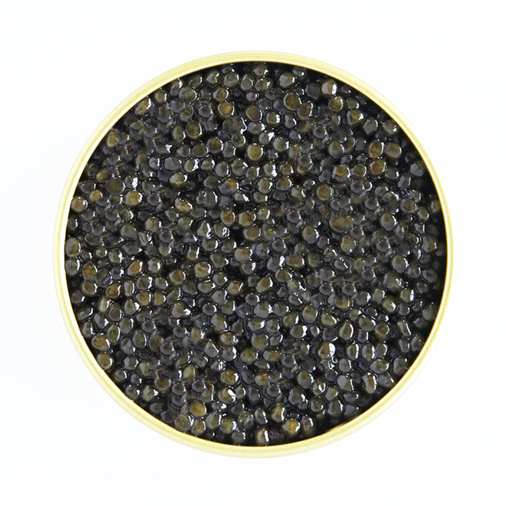 スーペリア・オセトラ　キャビア　50g Superior Ossetra Sturgeon 50g