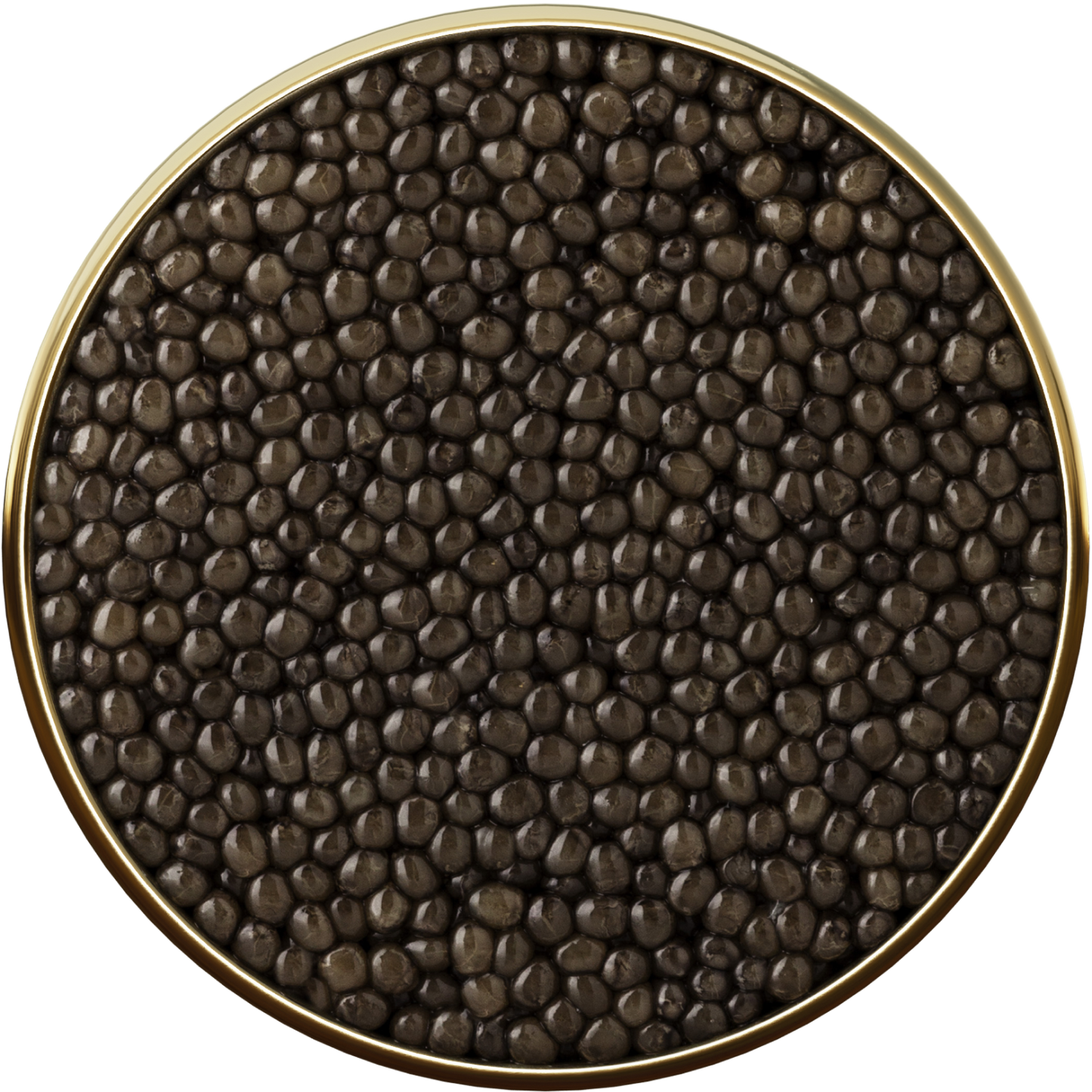 オシェトラキャビア 5スター 50g Oscietra 5 star 50g