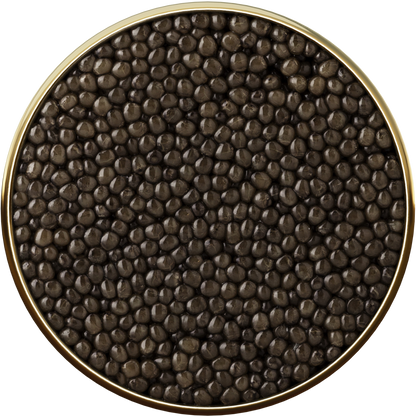 オシェトラキャビア 5スター 50g Oscietra 5 star 50g