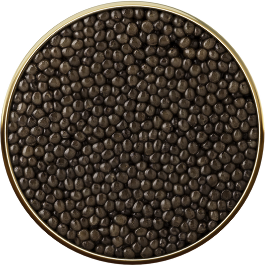 オシェトラキャビア 5スター 50g Oscietra 5 star 50g