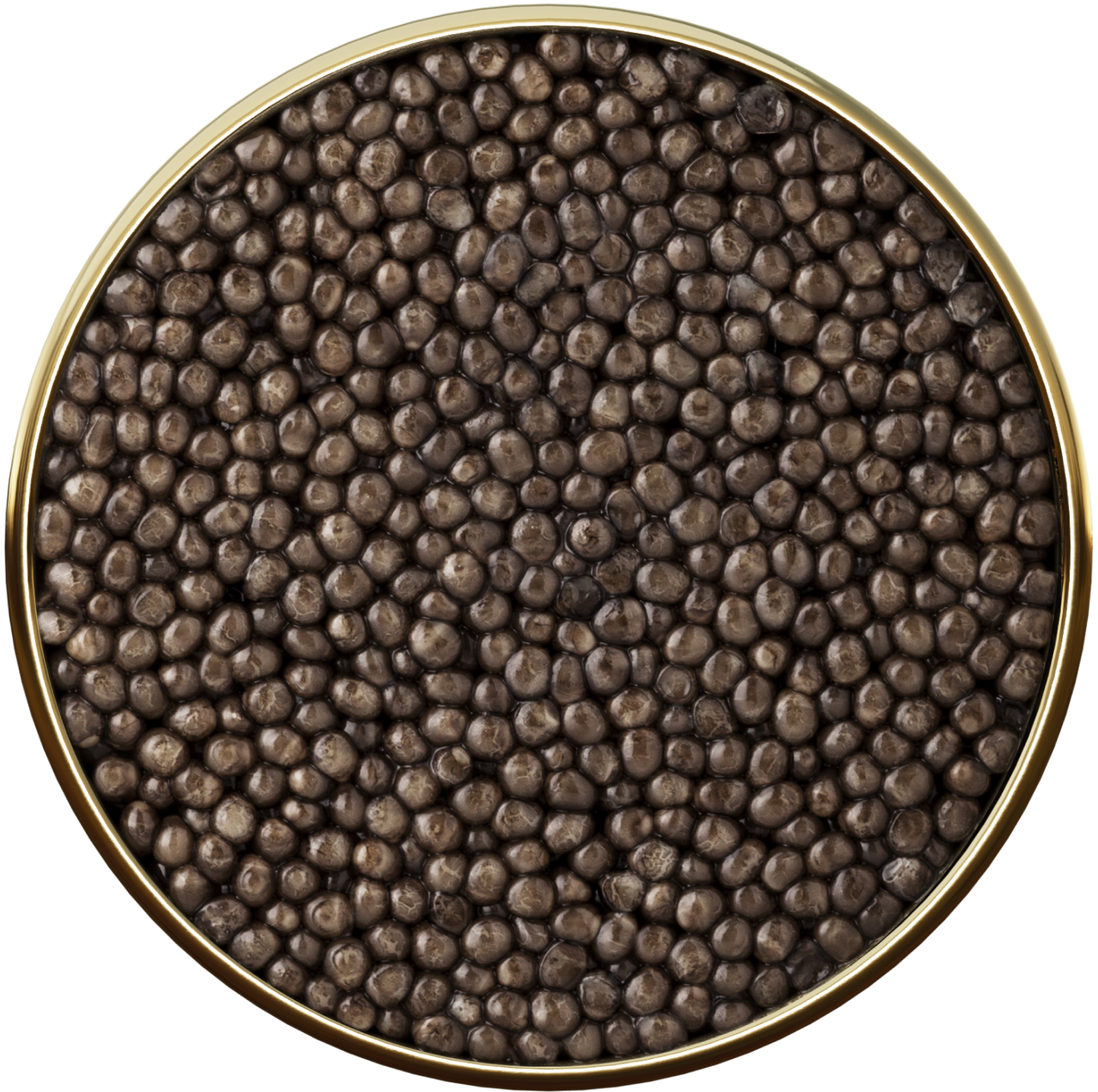 シベリアンキャビア 5スター 50g Siberian 5 star 50g