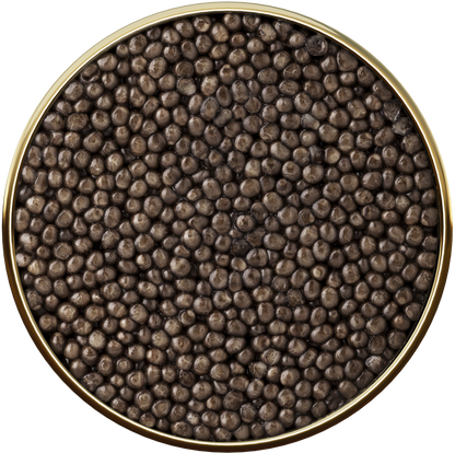 シベリアンキャビア 5スター 50g Siberian 5 star 50g