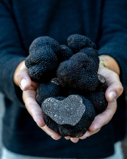 黒冬トリュフ Extra AL Black Winter Truffle Extra AL